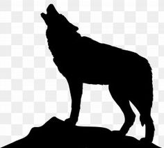 a wolf standing on top of a rock