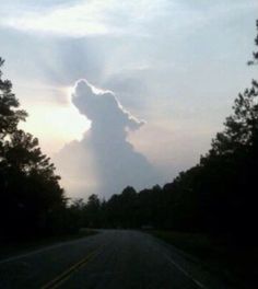 an image of a cloud that is in the sky above a road with trees on both sides