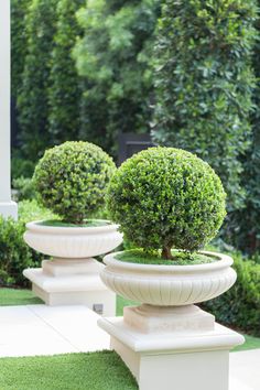 three white planters sitting on top of grass covered ground next to trees and bushes