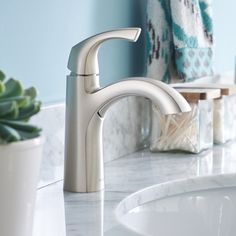 a close up of a faucet on a bathroom sink with a succulent