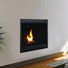 a living room with a fire place in the center and a potted plant next to it