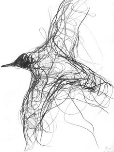 a black and white drawing of a bird flying