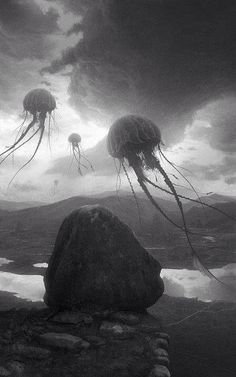 two jellyfishs floating in the air over rocks and water under a cloudy sky