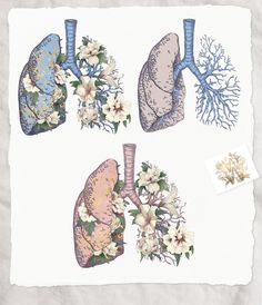 four different types of lungs and flowers