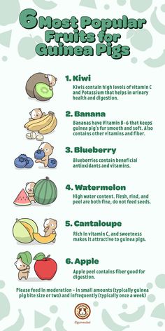 the info sheet shows different types of fruits and vegetables in each region, including apples, watermelon, apple