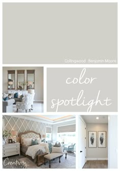 a collage of photos with the words color spotlight in white and light gray colors