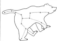 a bear is shown with lines drawn across it's body and points in the shape of an arrow