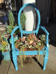 a blue chair with succulents and plants in it