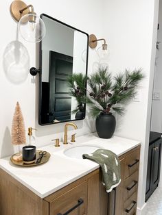 a bathroom with a sink, mirror and potted pine tree in the corner on the counter