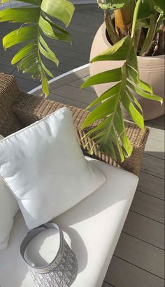 a white couch sitting on top of a wooden floor next to a potted plant