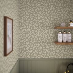 a bathroom with two shelves on the wall and soap dispensers in front of it