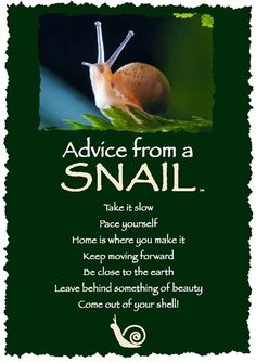 a snail with the words advice from a snail on it's back and green background