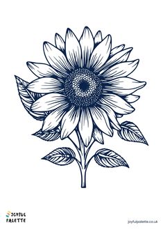 Realistic Sunflower Sketch Easy Flowers To Draw, Sunflower Sketch, Flowers To Draw, Thistles Art, Simple Flower Drawing, Printable Flower Coloring Pages, Easy Flowers, Rose Coloring Pages