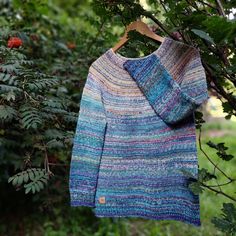 a sweater hanging from a tree in the woods