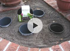 there are four pots in the ground with plants growing out of them and a book on top