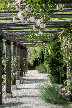 the walkway is lined with pink flowers and greenery