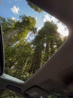 the sun shines through the trees in the forest as seen from inside a car