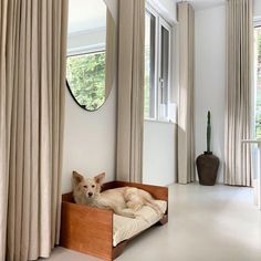 stylish mid-century modern elevated dog bed Dog Bed Placement, Dog Furniture Design, Dog In Bedroom, Dog Bed Furniture Ideas, Dog Bed Design, Dog Bed In Bedroom, Dog Interior Design, Modern Dog Bed, Diy Dog Couch