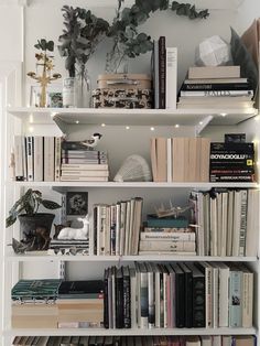 a bookshelf filled with lots of books next to a plant on top of it