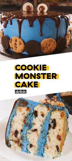 there is a cake with blue icing and chocolate chips on the top that says cookie monster cake