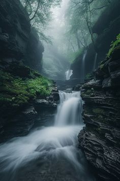 a small waterfall in the middle of a forest filled with rocks and green plants on either side