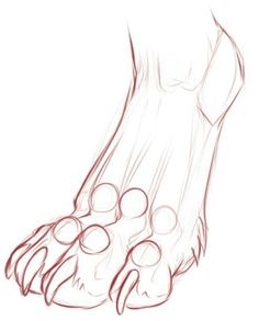 a drawing of the feet and toes of a person