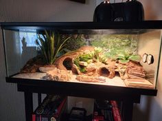 a fish tank filled with plants and rocks in a living room next to a book shelf