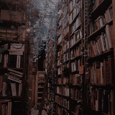 an old library filled with books and lots of shelves full of books on the walls