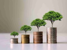 three stacks of coins with trees growing out of them