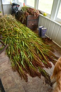 a brown dog standing next to a pile of grass on top of a tiled floor