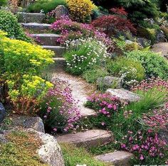 a garden filled with lots of flowers and rocks