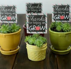 three potted plants are sitting on a table with thank you sign in the middle