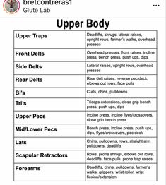 the upper body chart for different types of muscles