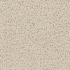 a white and brown textured wallpaper with small dots