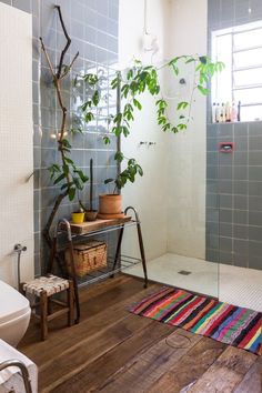 a bathroom with a shower, toilet and plant in the corner on the rug next to the bathtub