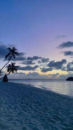 two palm trees on the beach at sunset