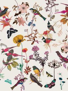 a bunch of birds and flowers on a white background