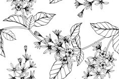 black and white drawing of flowers with leaves