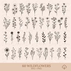 the wildflowers collection is shown in black and white on a light pink background