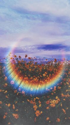 an image of a rainbow in the middle of flowers