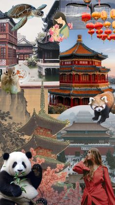 a collage of pictures with pandas and buildings