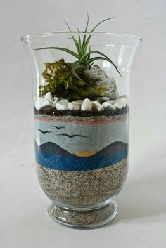 a glass vase filled with sand and plants