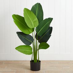 a large green plant in a black pot on a tile floor next to a white wall