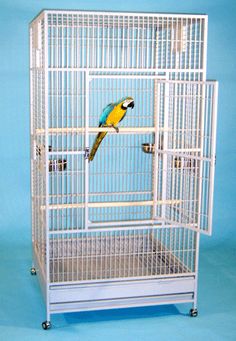 a bird is perched on top of a white cage with blue and yellow feathers in it