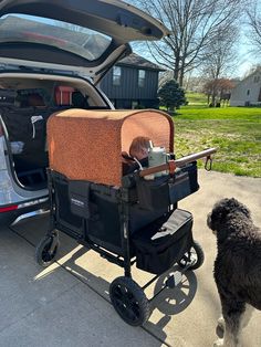 a dog standing next to a baby in a stroller with the back door open