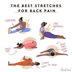 the best stretches for back pain