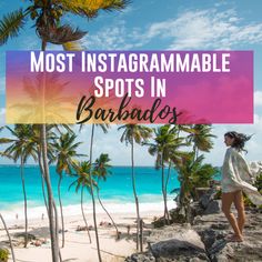 a woman standing on the beach with palm trees in front of her and text that reads most instagrammable spots in barrades