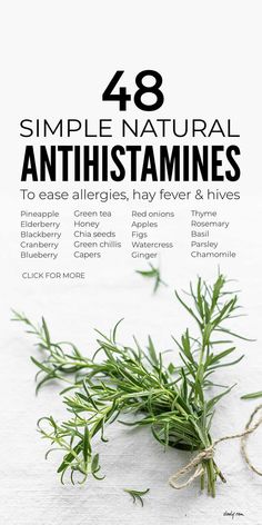 Sinus Inflammation, Natural Antihistamine, Natural Allergy Relief, Magia Das Ervas, Natural Healing Remedies, Allergy Relief, Home Health Remedies, Herbs For Health, Allergy Symptoms