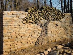 a stone wall with a tree growing out of it