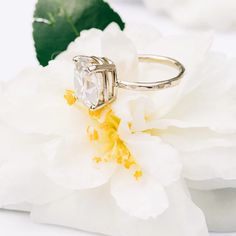 a diamond ring sitting on top of a white flower